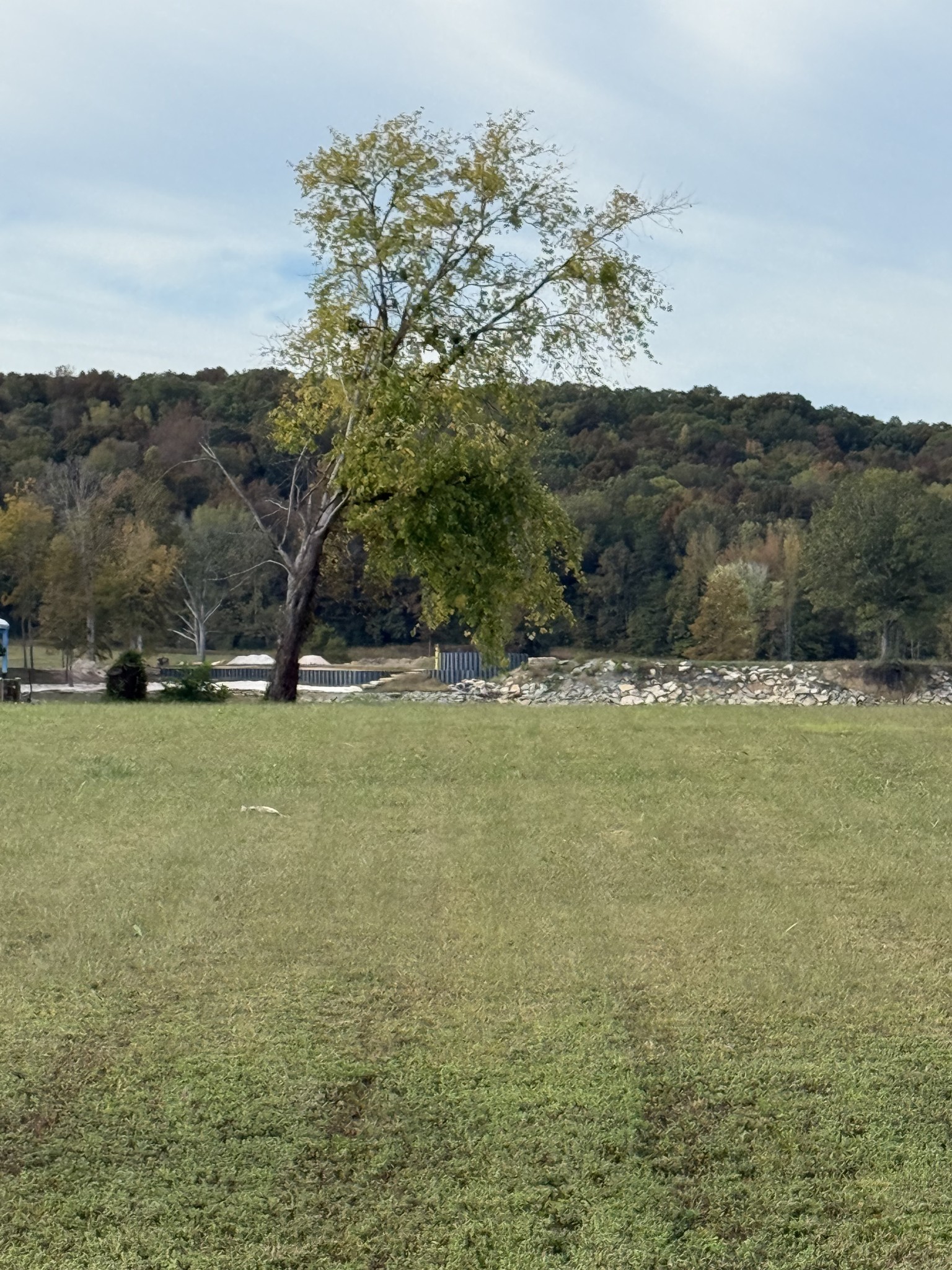 313 Hardin Bottom River Road Clifton, TN 38425 - Photo 19 of 21 a view of outdoor space with mountain view