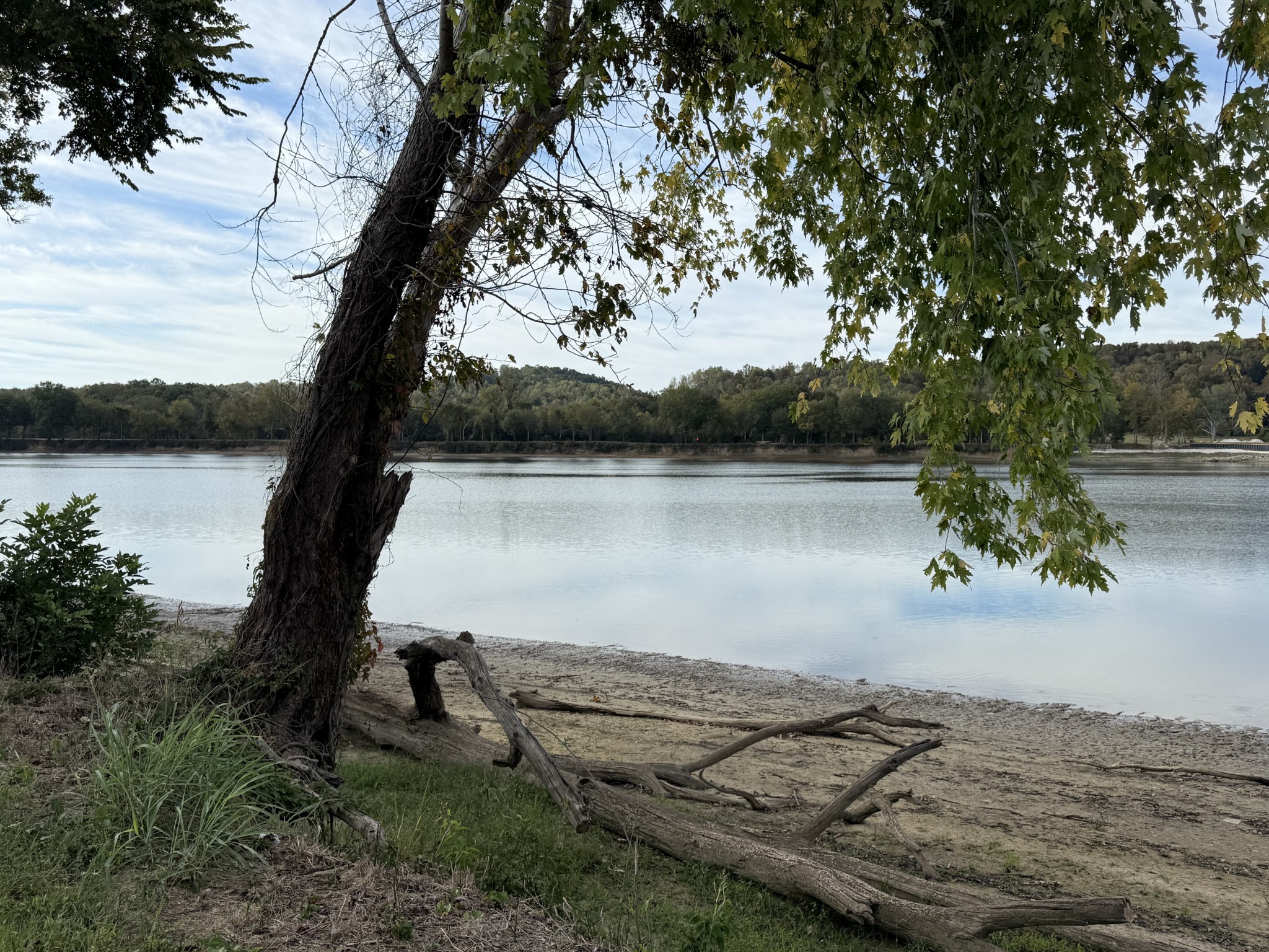 313 Hardin Bottom River Road Clifton, TN 38425 - Photo 7 of 21 a view of a lake from a yard