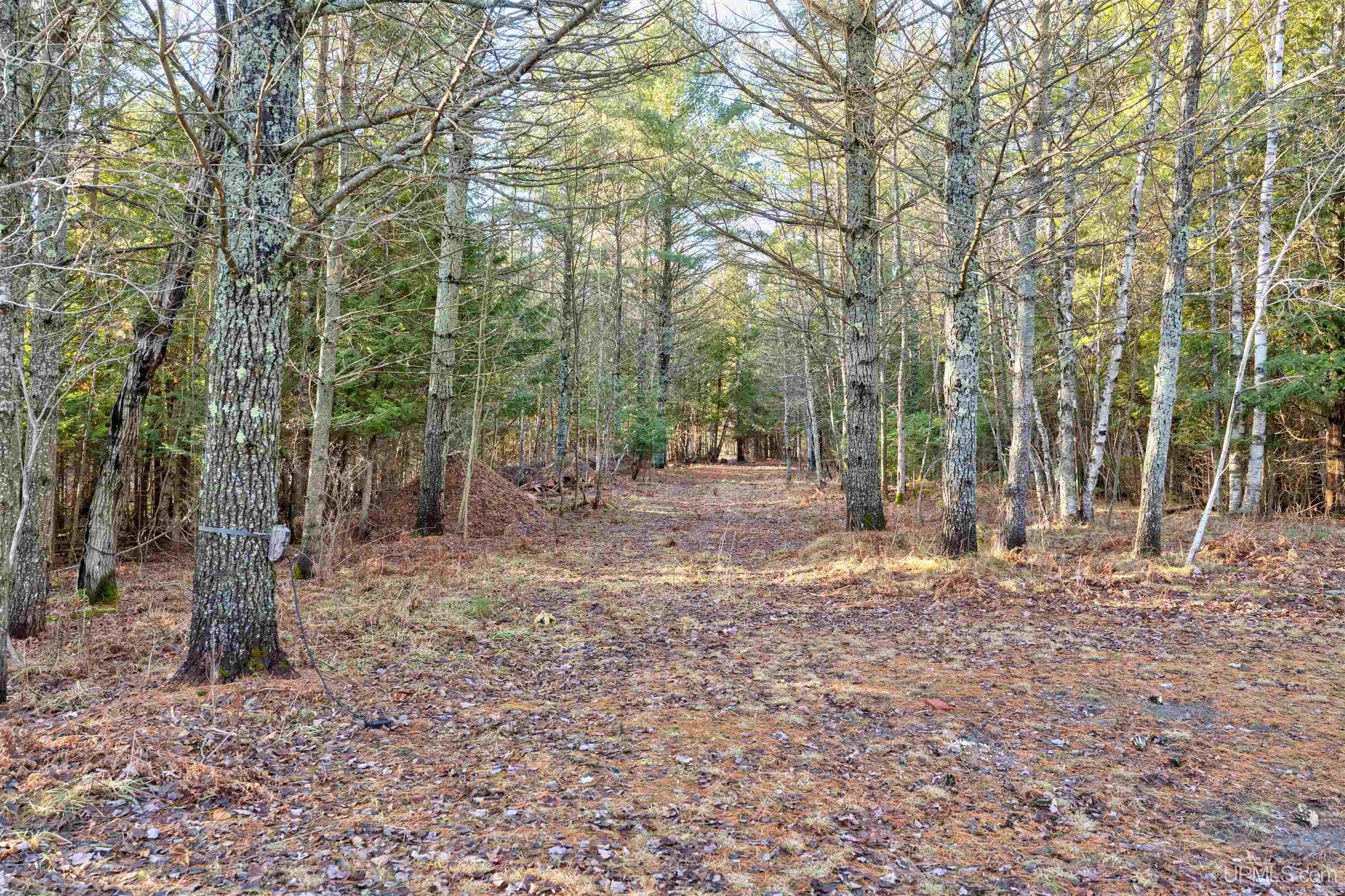 543 North Intake Park Road Manistique, MI 49854 - Photo 44 of 49 Gallery Image 44