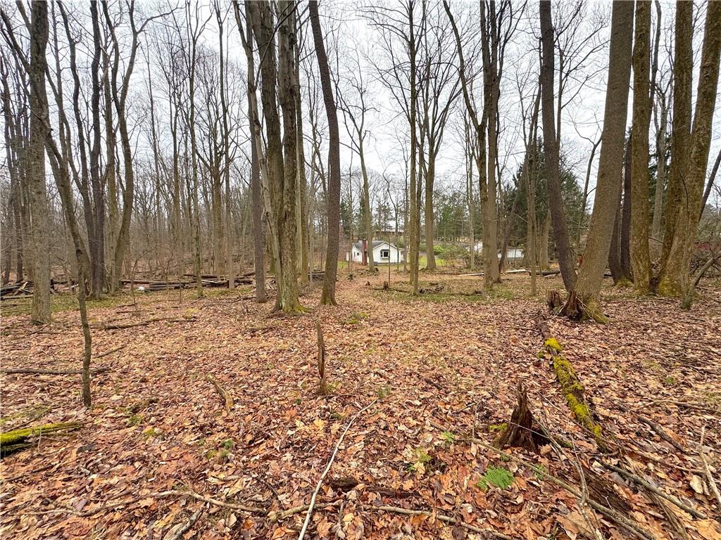 671 Solomon Temple Road Latrobe, PA 15650 - Photo 5 of 32 a backyard of a house with lots of green space