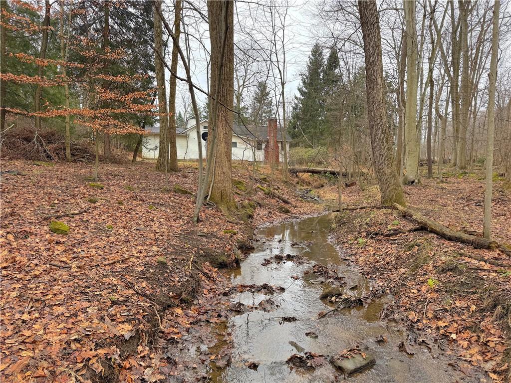 671 Solomon Temple Road Latrobe, PA 15650 - Photo 6 of 32 a view of a yard with trees