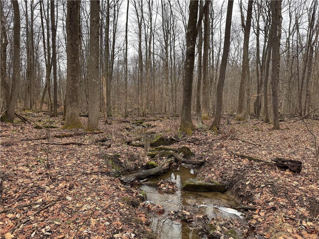 671 Solomon Temple Road Latrobe, PA 15650 - Photo 7 of 32 a view of water covered with snow