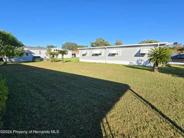 a view of a tree in the middle of a yard