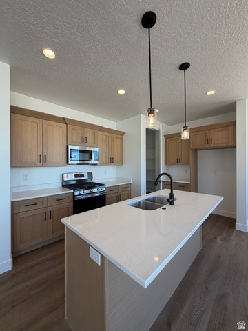 4956 North 925 East, Unit 87 Enoch, UT 84721 - Photo 6 of 19 Kitchen island with a double basin stainless steel sink and matte black faucet, surrounded by wood-finish flooring