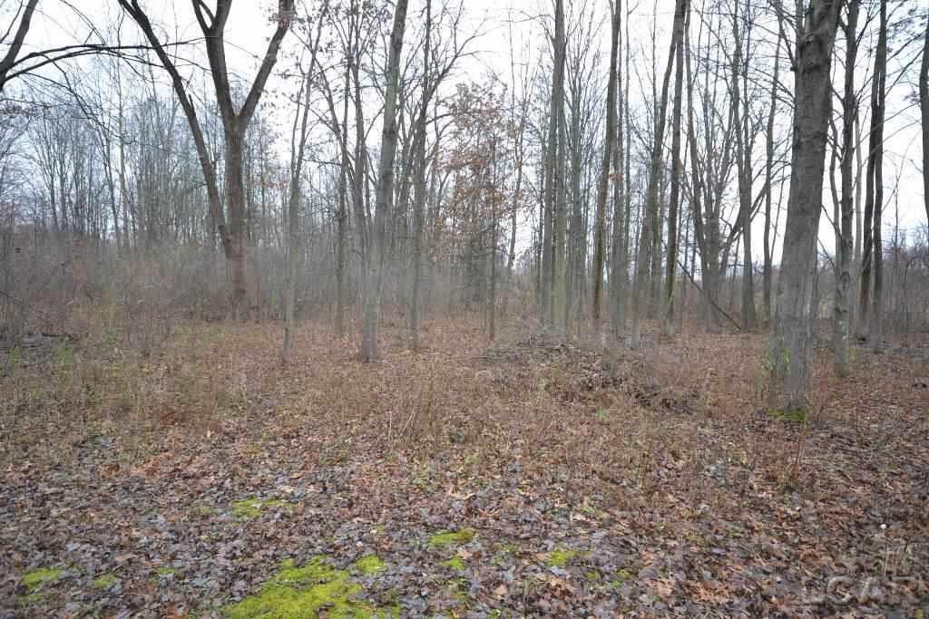 0 Douglas Road Petersburg, MI 49270 - Photo 6 of 11