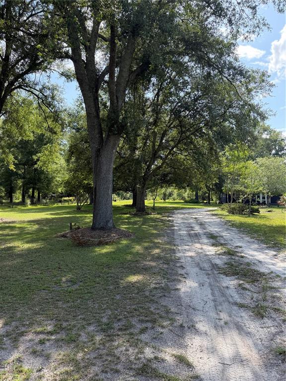 5649 209th Road Live Oak, FL 32060 - Photo 3 of 62 Gallery Image 3