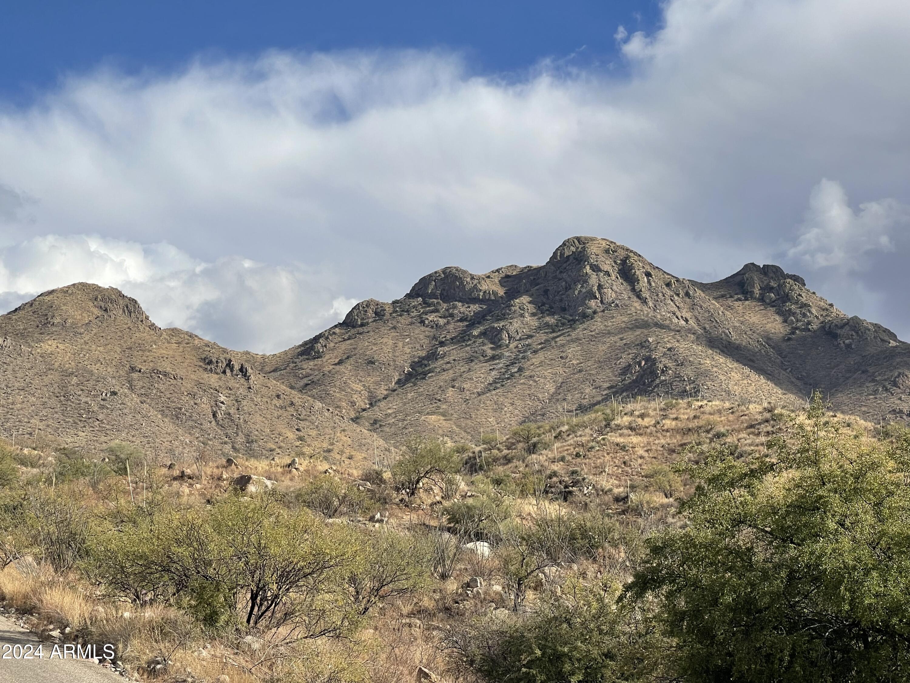 1649 Camino Galapago, Unit 9 Rio Rico, AZ 85648 - Photo 5 of 5 IMG_7353