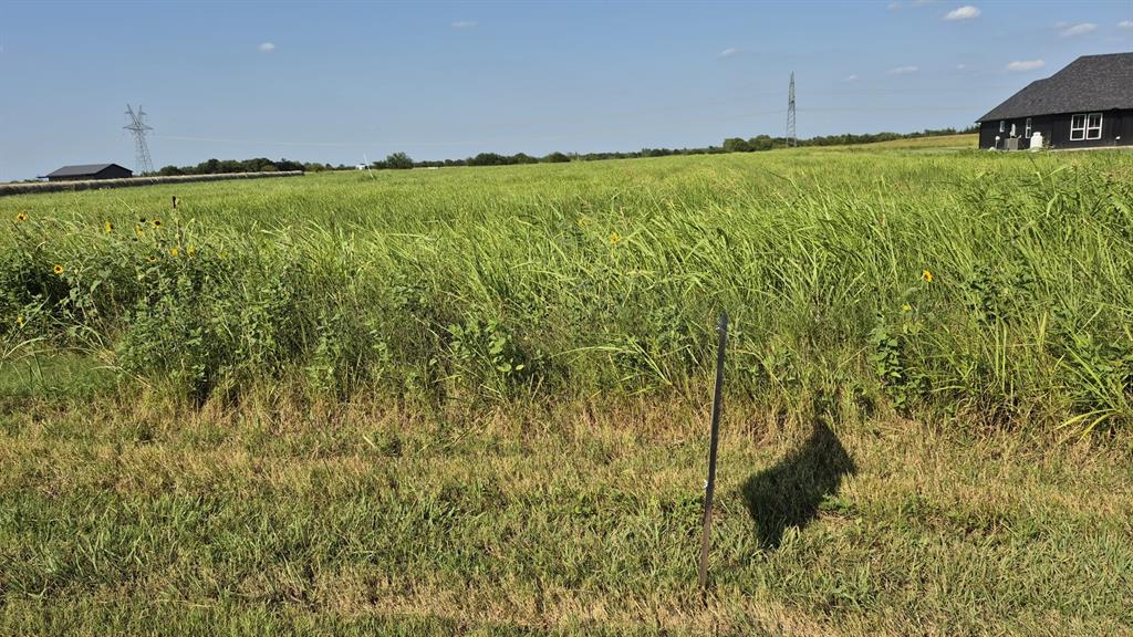 691 Farmer Road Ennis, TX 75119 - Photo 11 of 18 a view of an outdoor space and a yard