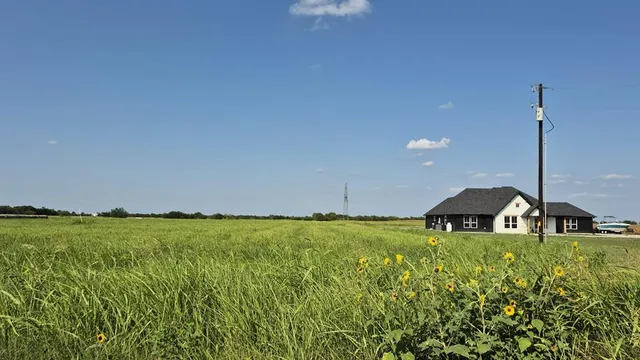 a view of a field with an ocean