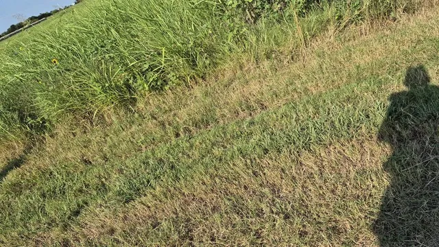 a view of an outdoor space and a yard