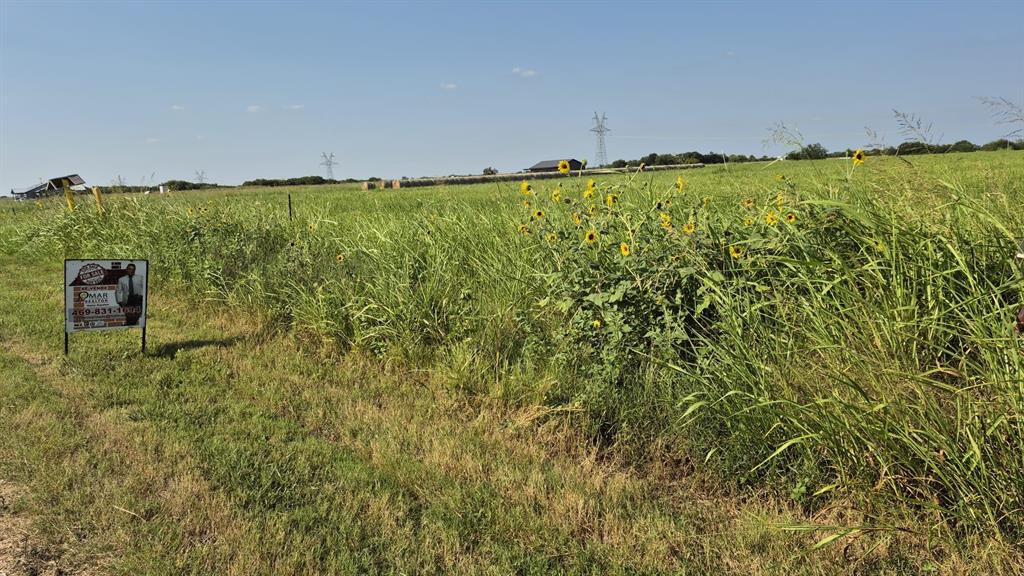 691 Farmer Road Ennis, TX 75119 - Photo 14 of 18 a view of a field with an ocean