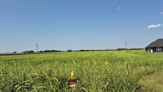 a view of an outdoor space and yard