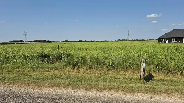 a view of a street from a yard