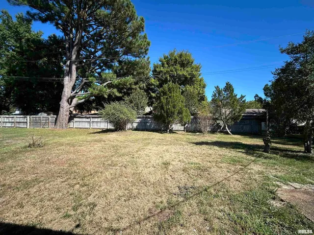 a view of a yard with plants