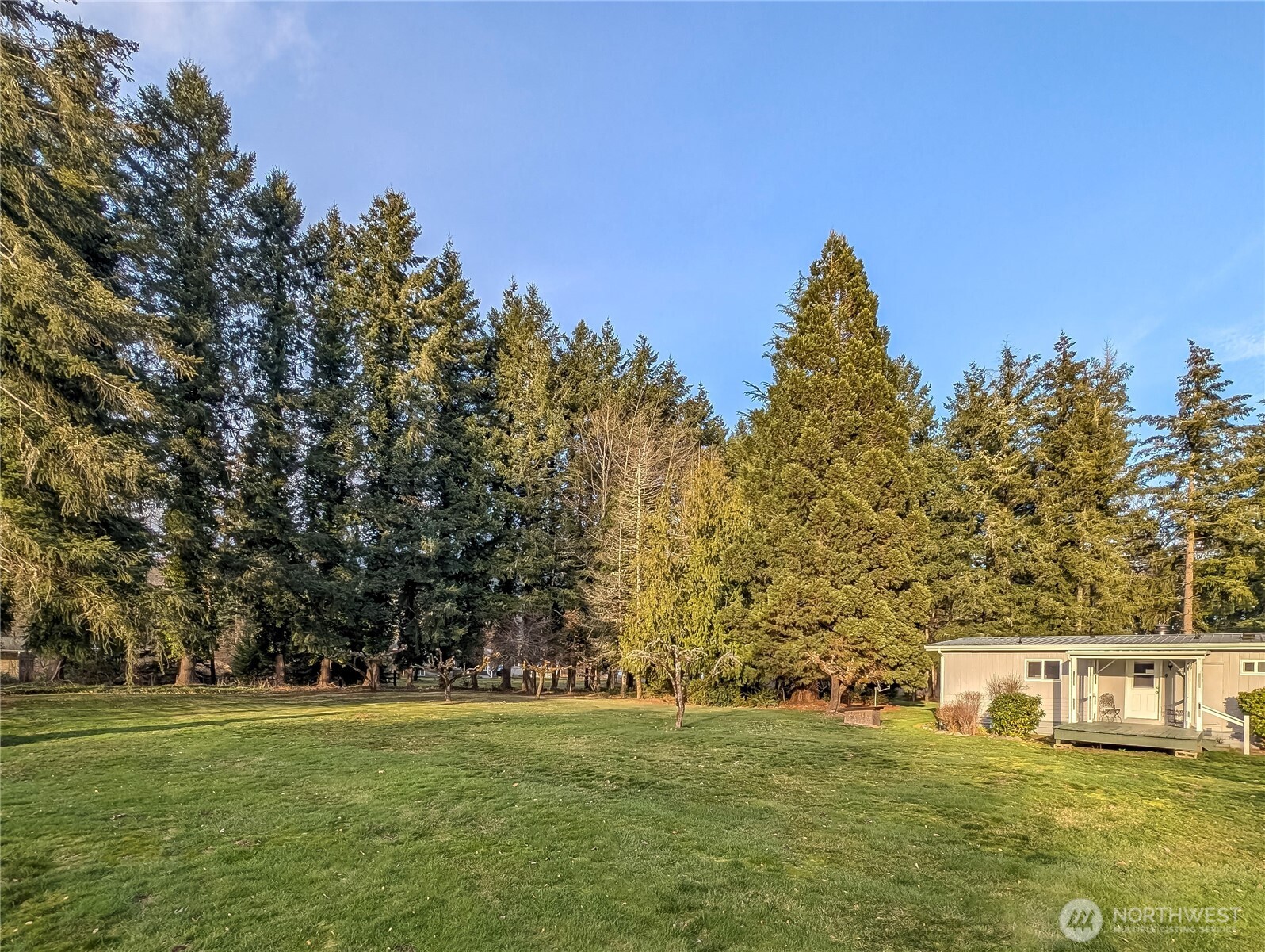 139 Kehoe Road Randle, WA 98377 - Photo 36 of 40 Gallery Image 36