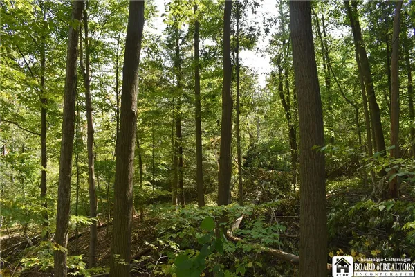 $54,900 | 380 Route Jamestown Ny 14701, Jamestown, NY 14701