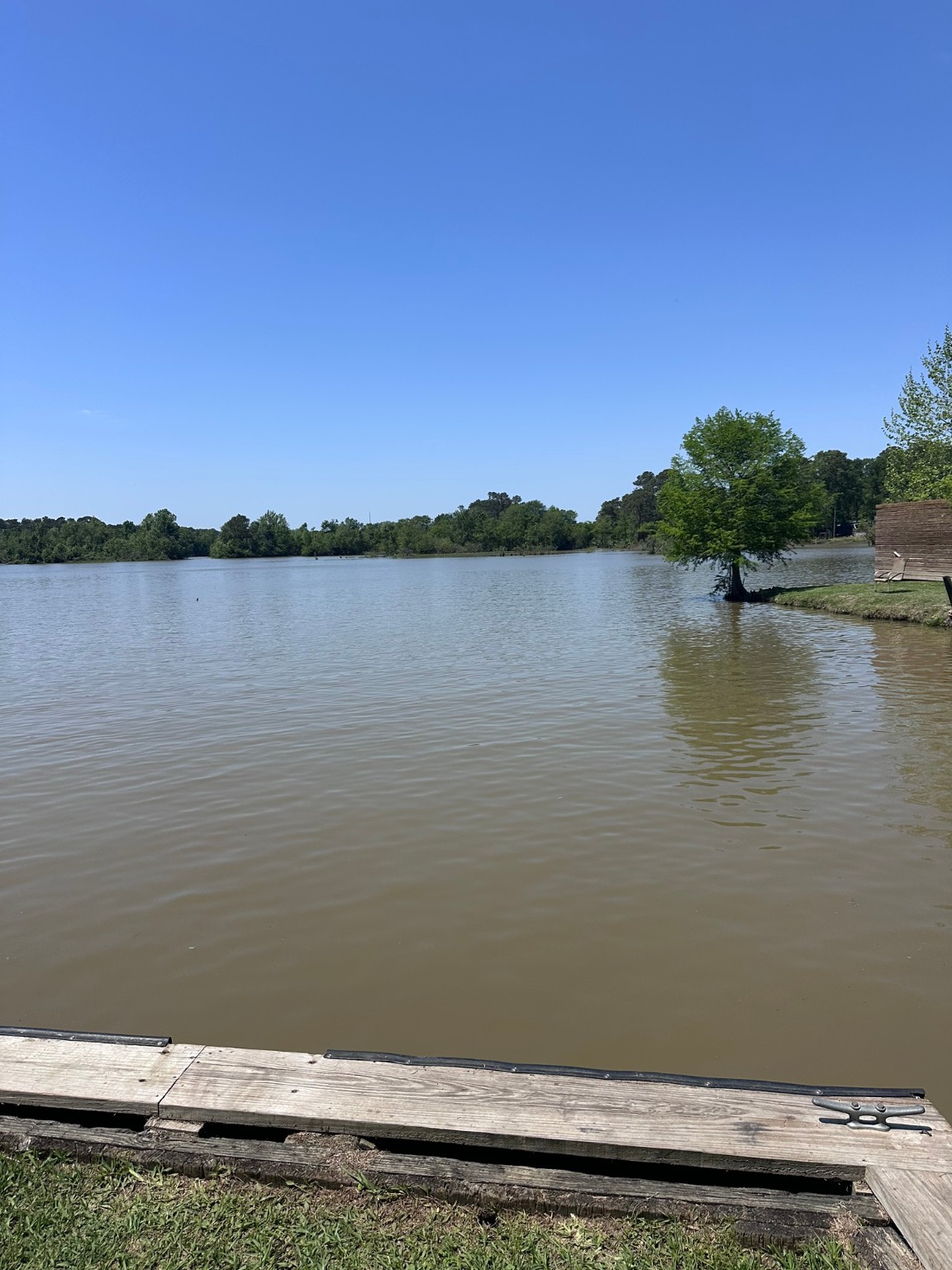 0 Pin Oak Drive Huffman, TX 77336 - Photo 4 of 6 a view of lake view and mountain view