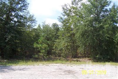 285 Creek Ridge Way Riegelwood, NC 28456 - Photo 2 of 3 Additional Photo