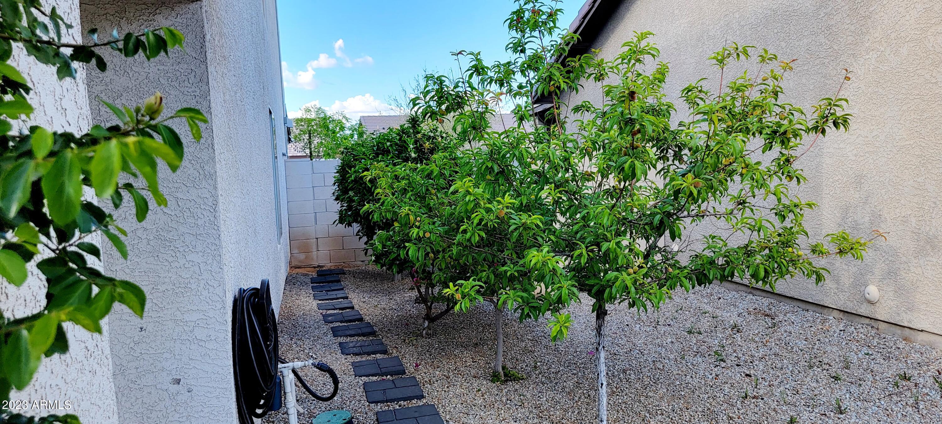 2824 West Pecan Road Phoenix, AZ 85041 - Photo 7 of 34 20230323_160159