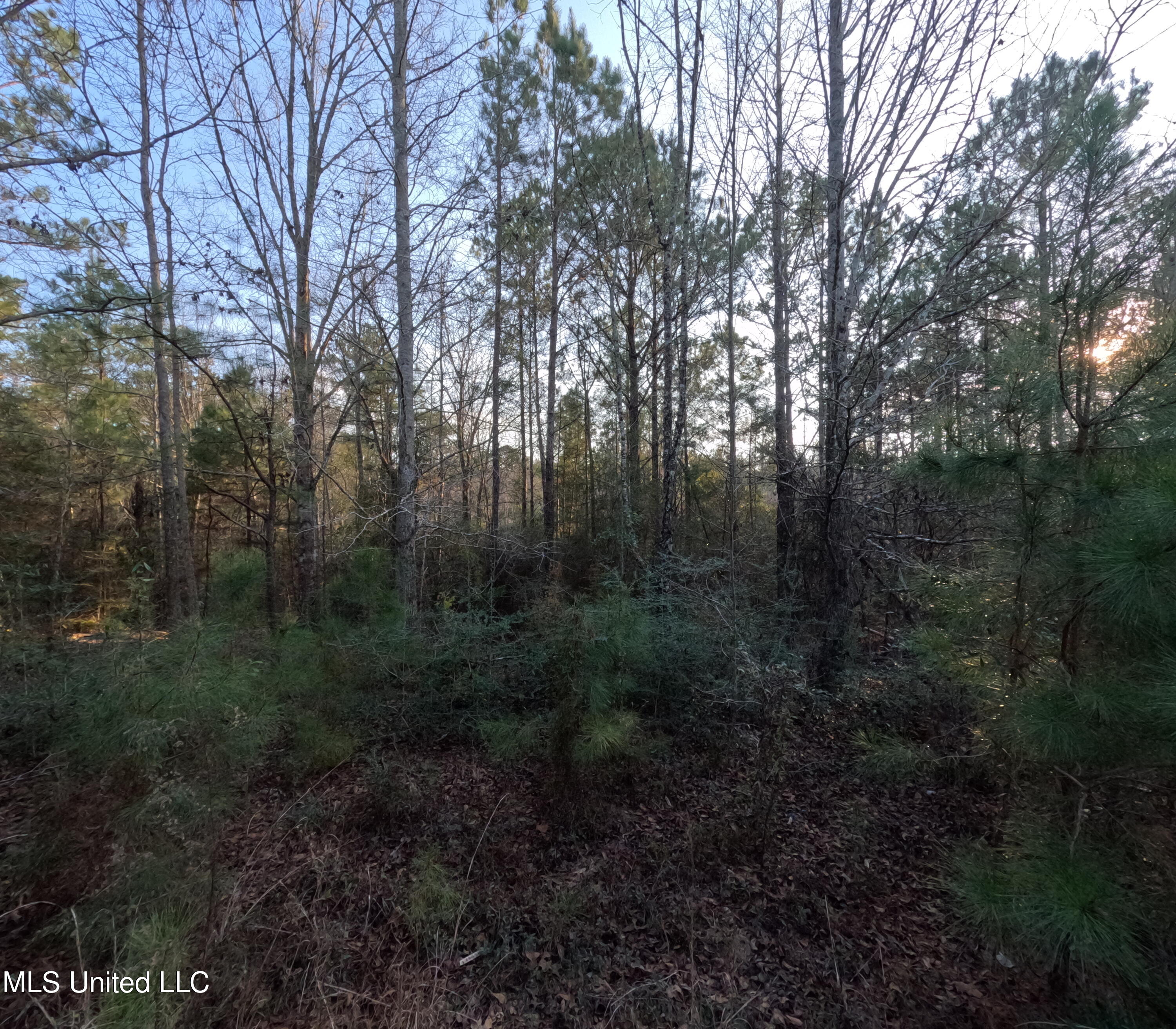 South County Line Road Columbia, MS 39429 - Photo 14 of 44 GOPR0736