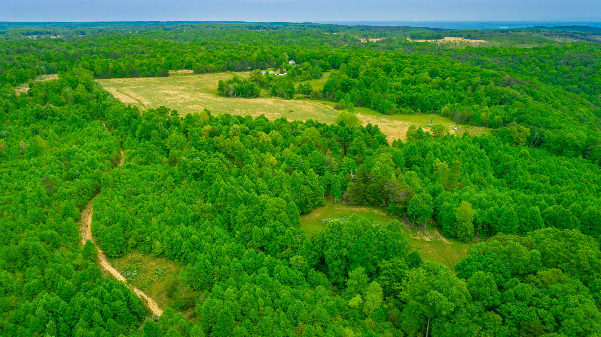 0 Ray Gadd Road Graysville, TN 37338 - Photo 3 of 109 Ray Gadd Road Lot HD-97