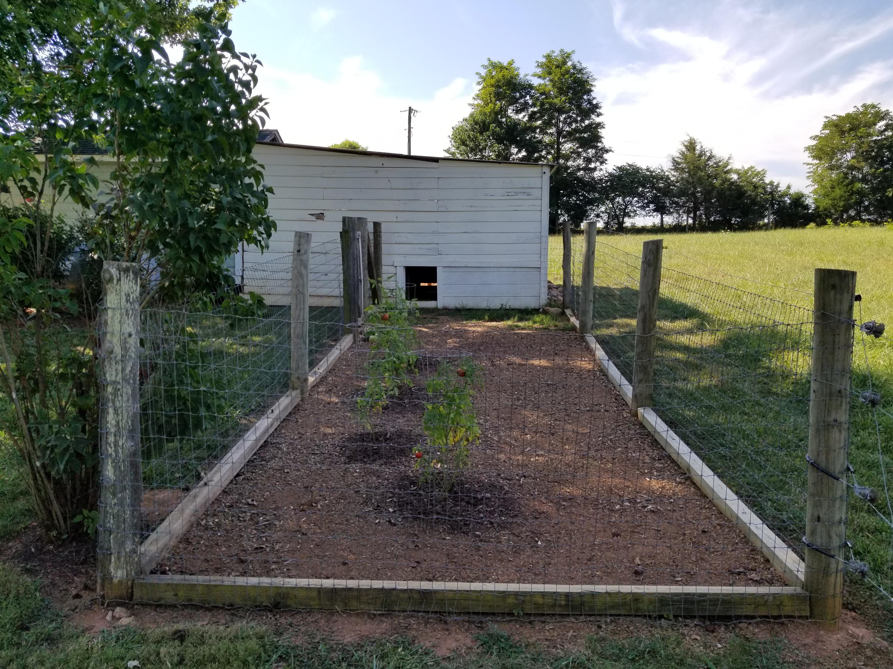 3218 Ayers Road Moneta, VA 24121 - Photo 6 of 67 a view of a backyard with large trees
