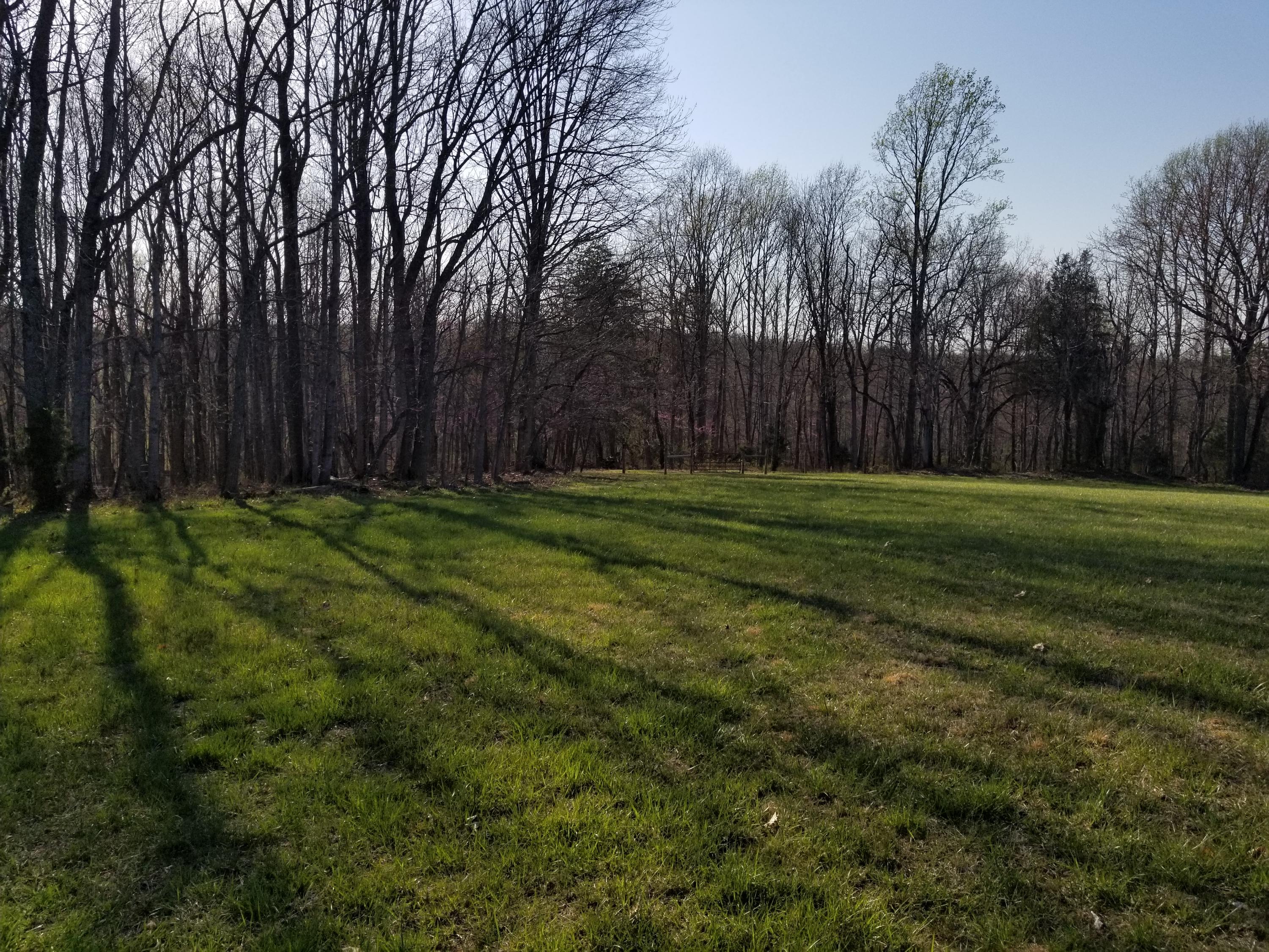 3218 Ayers Road Moneta, VA 24121 - Photo 60 of 67 a grassy field with trees in the background