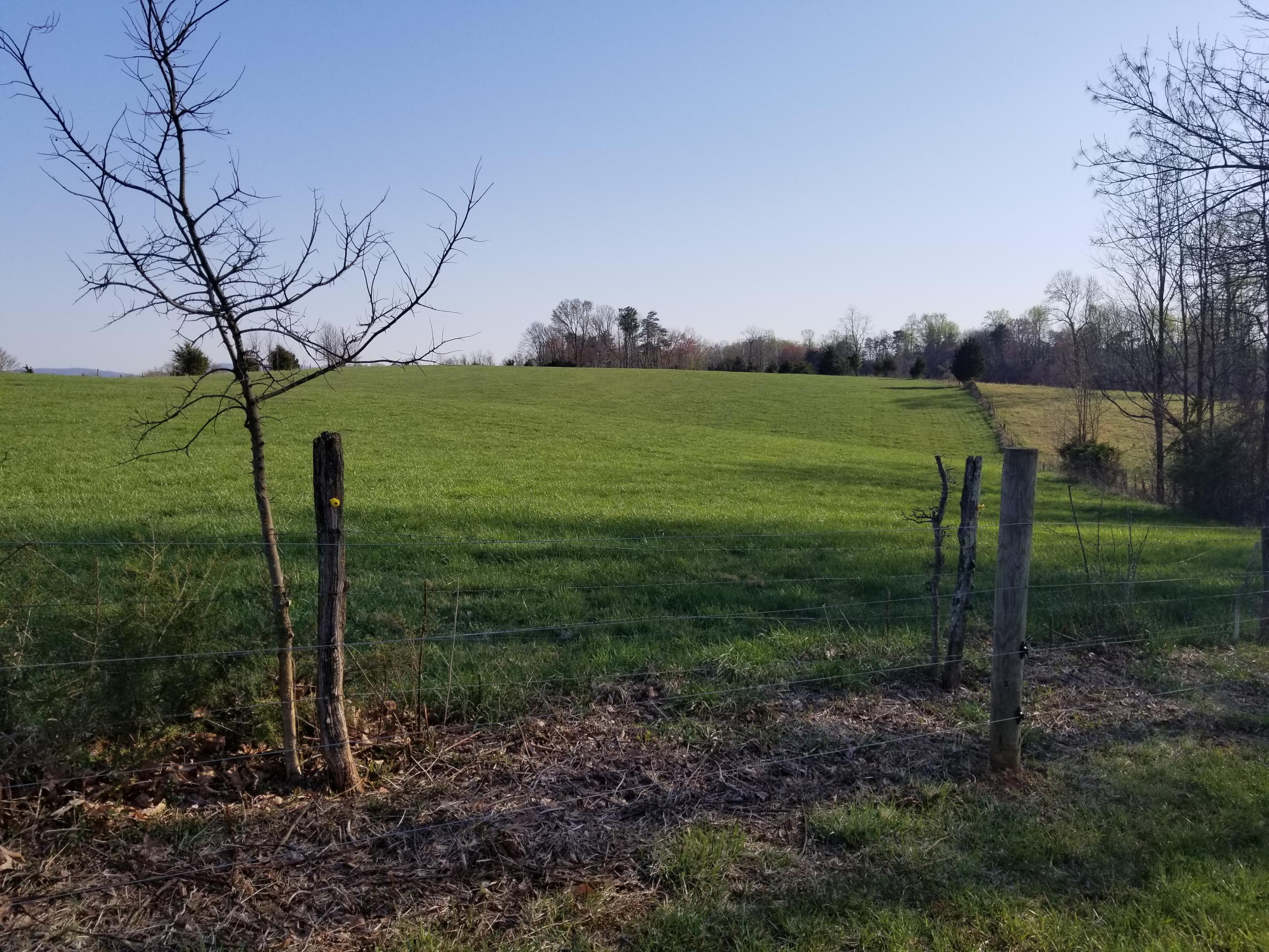 3218 Ayers Road Moneta, VA 24121 - Photo 61 of 67 a view of a garden with a tree