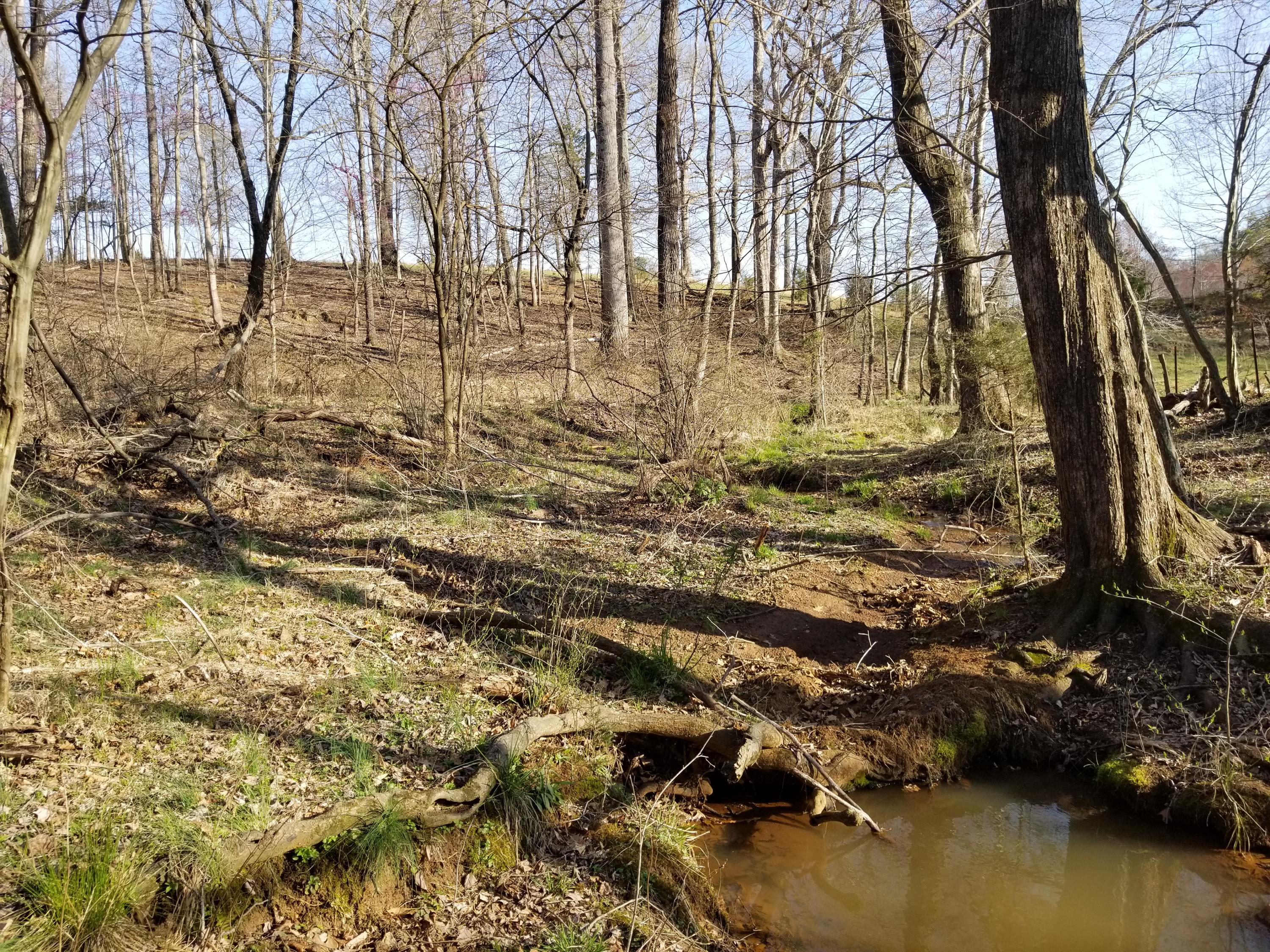 3218 Ayers Road Moneta, VA 24121 - Photo 65 of 67 a view of outdoor space with a lake view