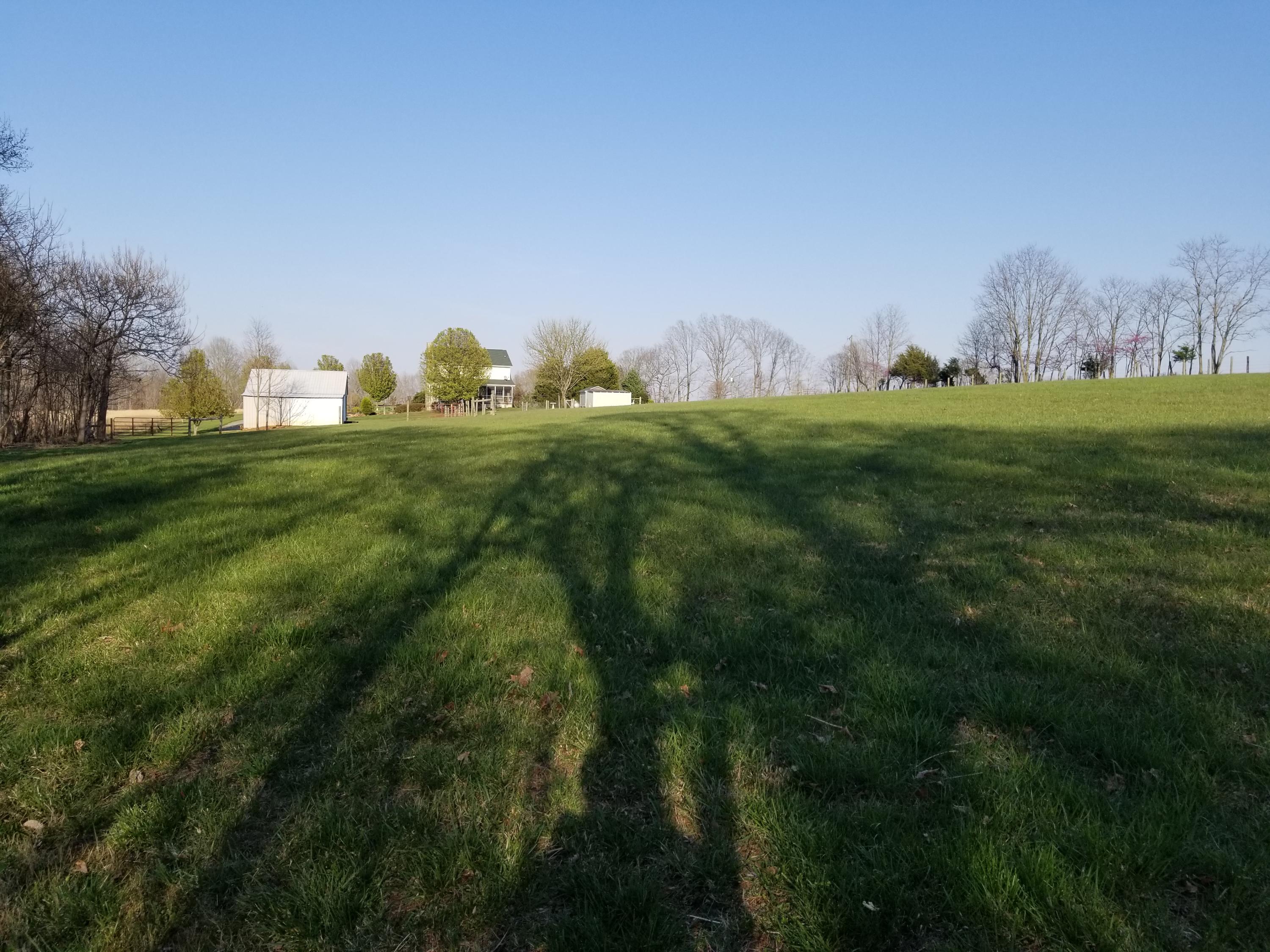 3218 Ayers Road Moneta, VA 24121 - Photo 66 of 67 Room to roam