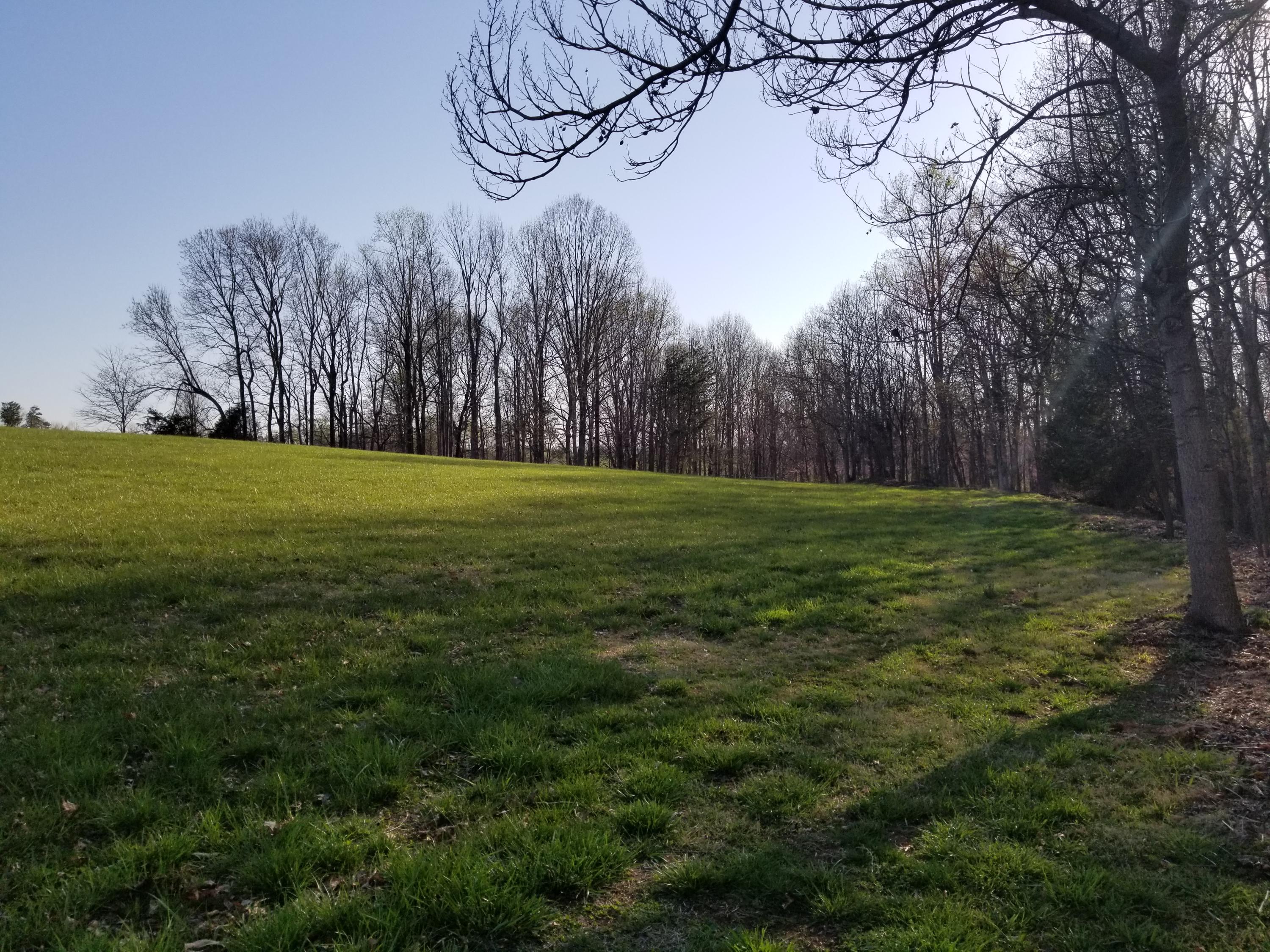 3218 Ayers Road Moneta, VA 24121 - Photo 67 of 67 a view of a field with trees around