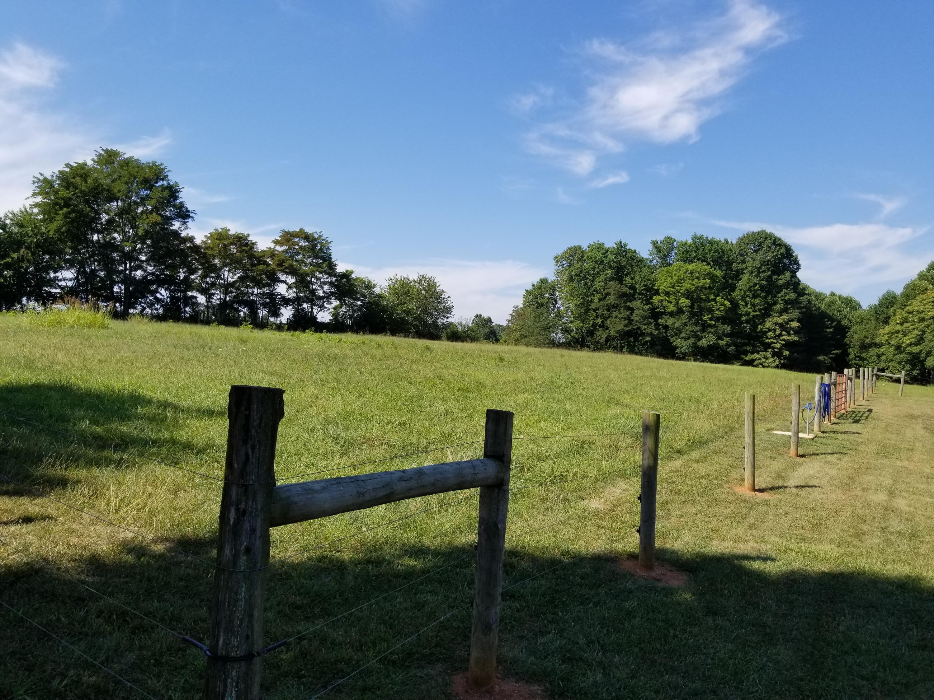 3218 Ayers Road Moneta, VA 24121 - Photo 10 of 67 Open pasture
