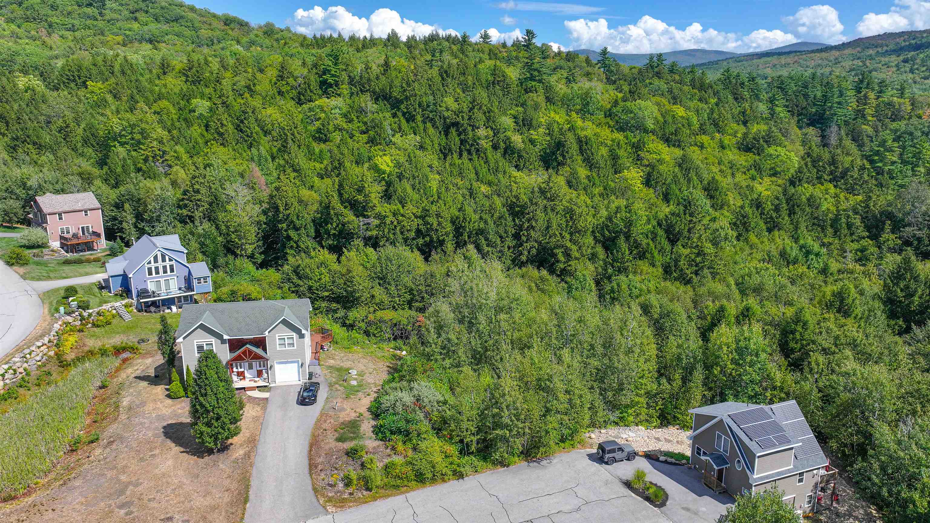 20 Highwoods Drive Intervale, NH 03845 - Photo 5 of 10