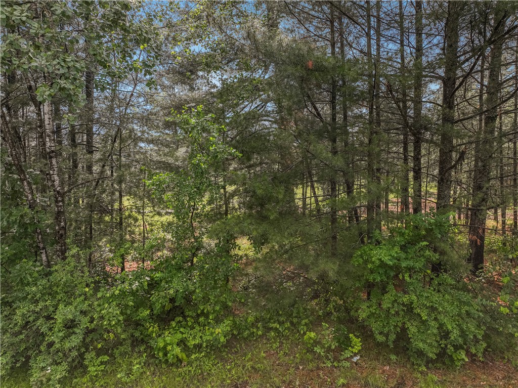 0 Ranger Station Road Hayward, WI 54843 - Photo 4 of 19