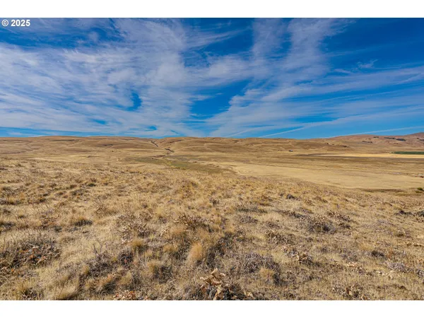 $575,000 | 1602 Centerville Highway, Centerville, WA 98613