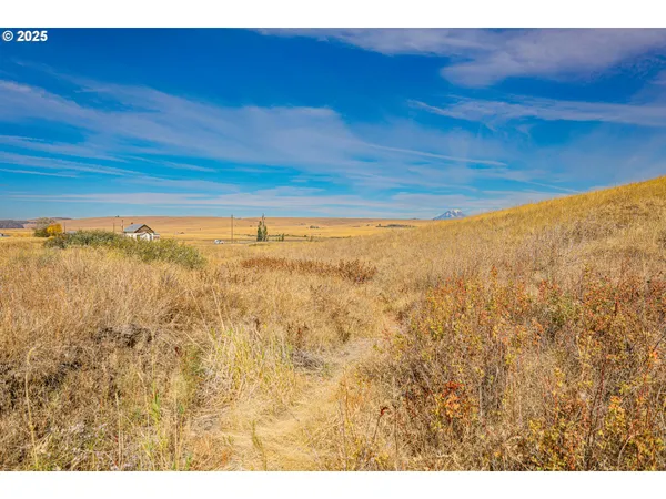 $575,000 | 1602 Centerville Highway, Centerville, WA 98613