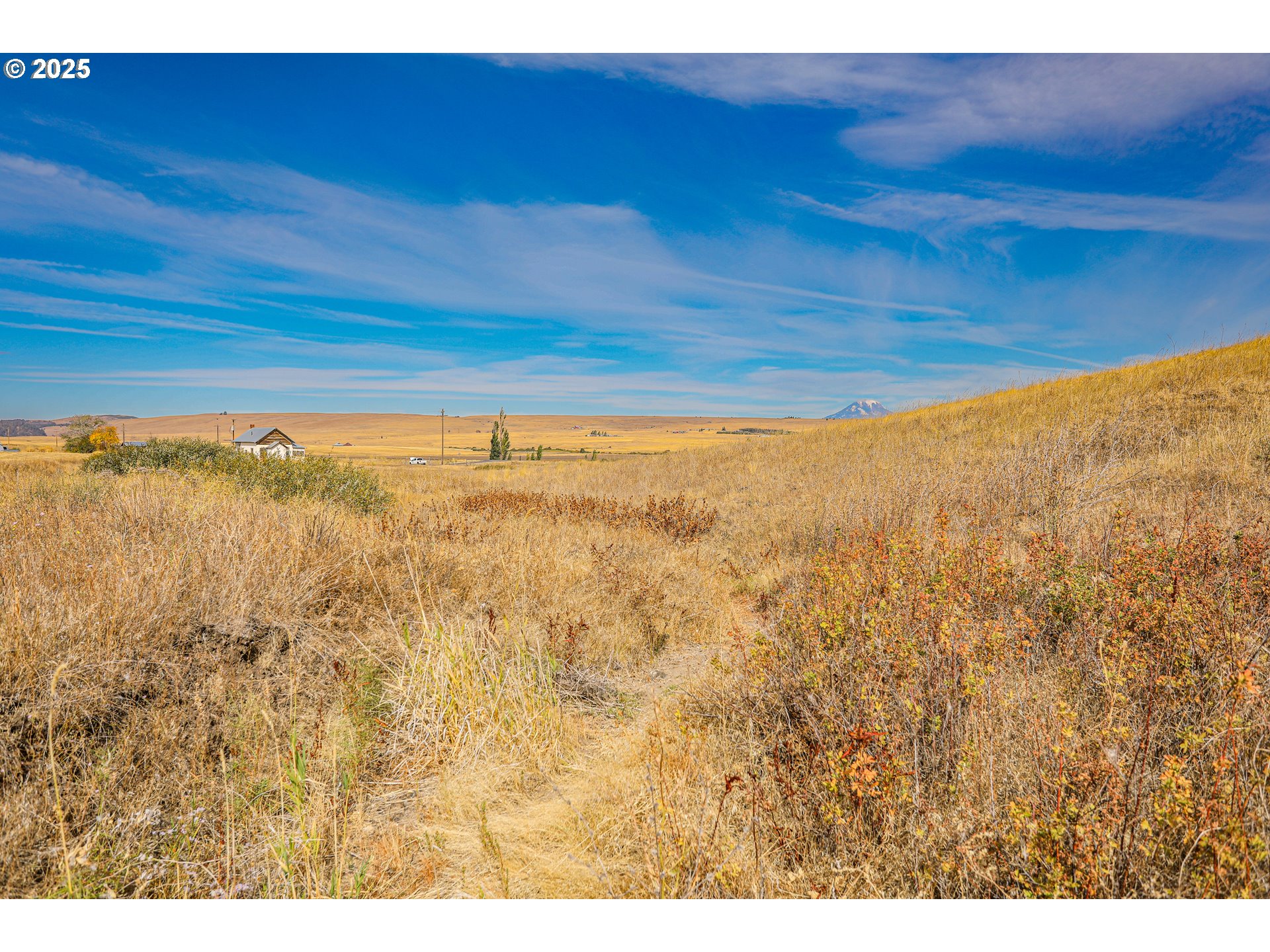 1602 Centerville Highway Centerville, WA 98613 - Photo 24 of 30