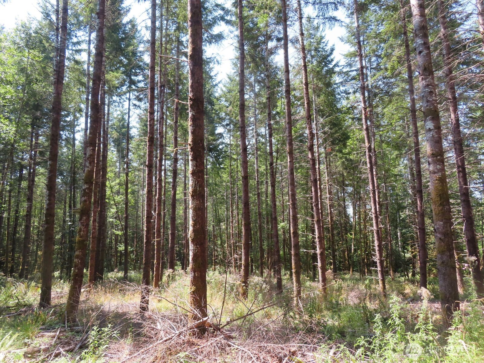 -xxx Chandler Road Chehalis, WA 98532 - Photo 7 of 22 Gallery Image 7
