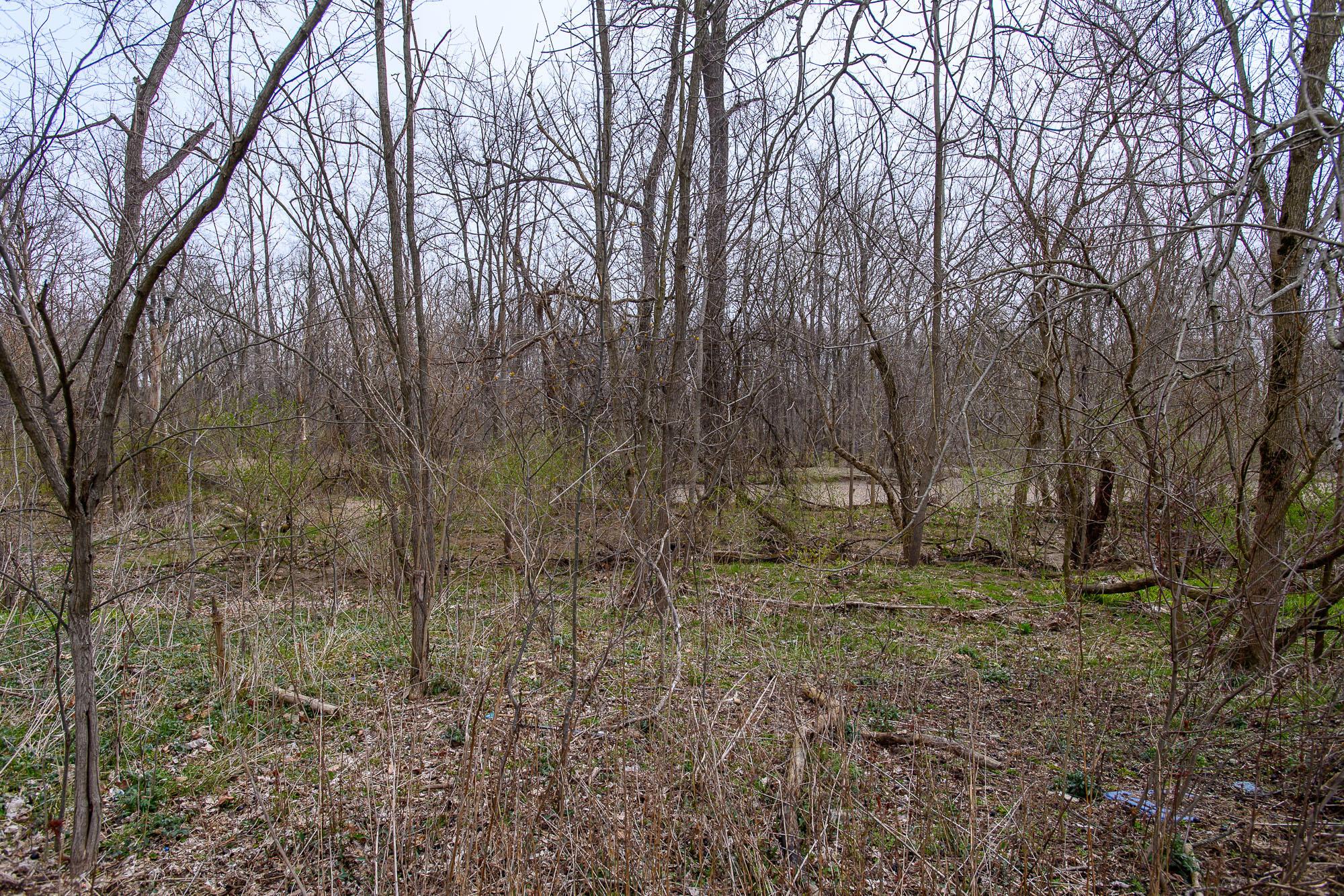 6306 Rocky Ridge Road Northeast Newark, OH 43055 - Photo 58 of 79 6305 Rocky Ridge-57