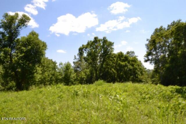 2390 Pea Ridge Fire Tower Road Celina, TN 38551 - Photo 44 of 58 DSC_0140