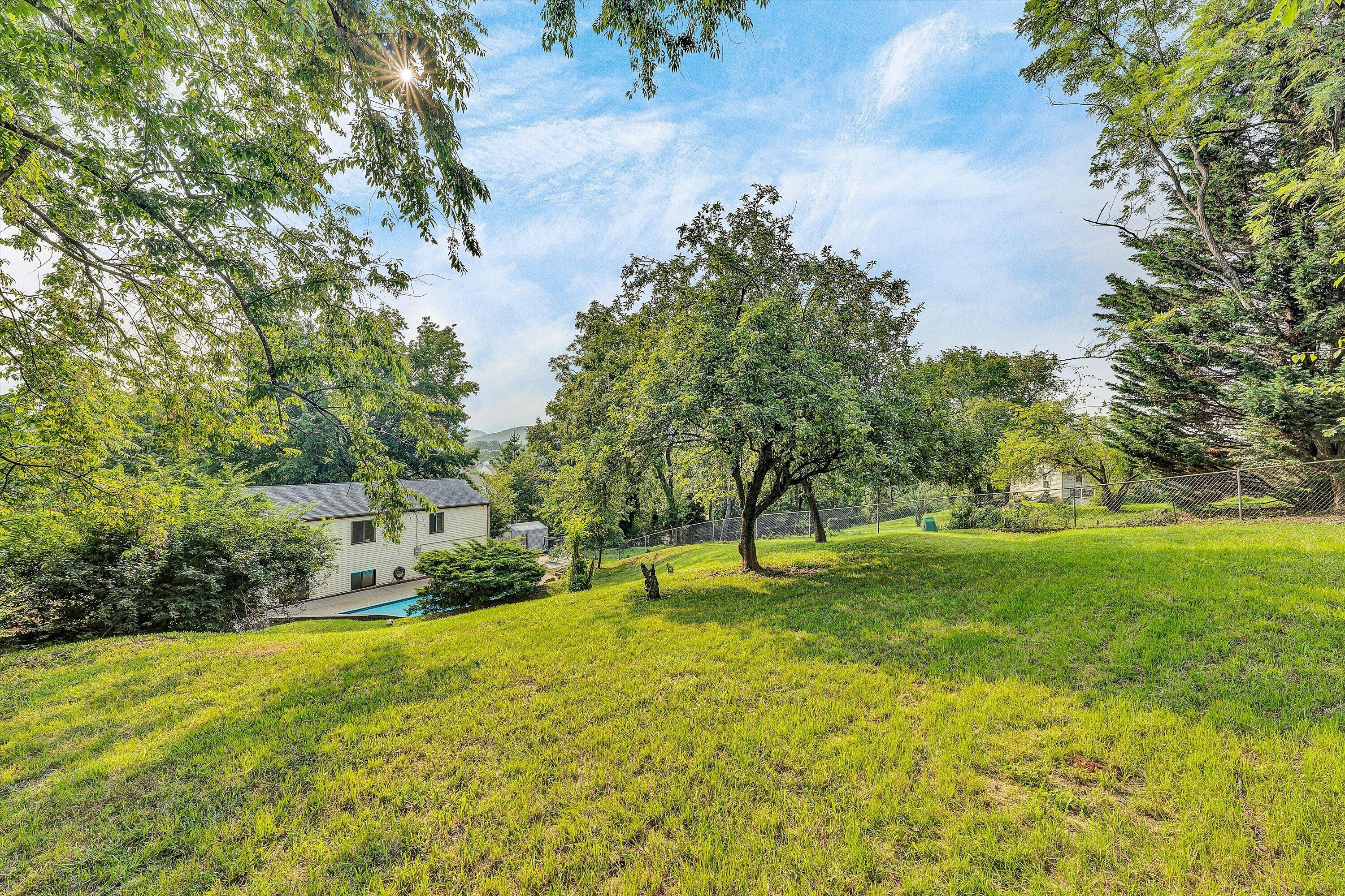 778 Ramada Road Vinton, VA 24179 - Photo 30 of 34 29-DSC02320