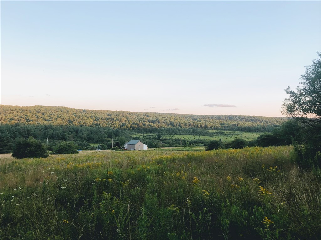 8781 Old State Road Allen, NY 14709 - Photo 41 of 45 Gallery Image 41