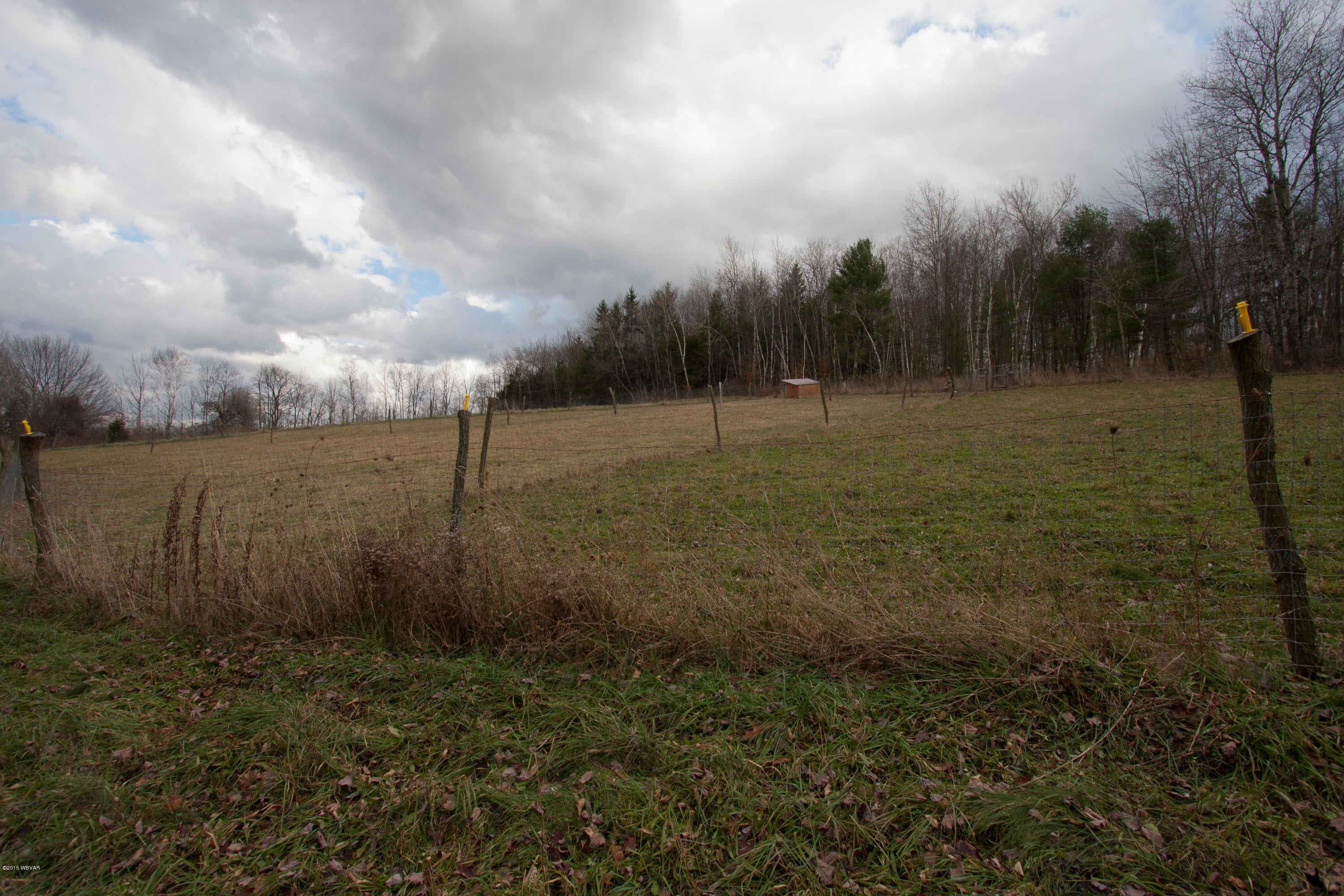 1356 Route 362 Route Wellsboro, PA 16901 - Photo 48 of 66 Beautiful_Home-49