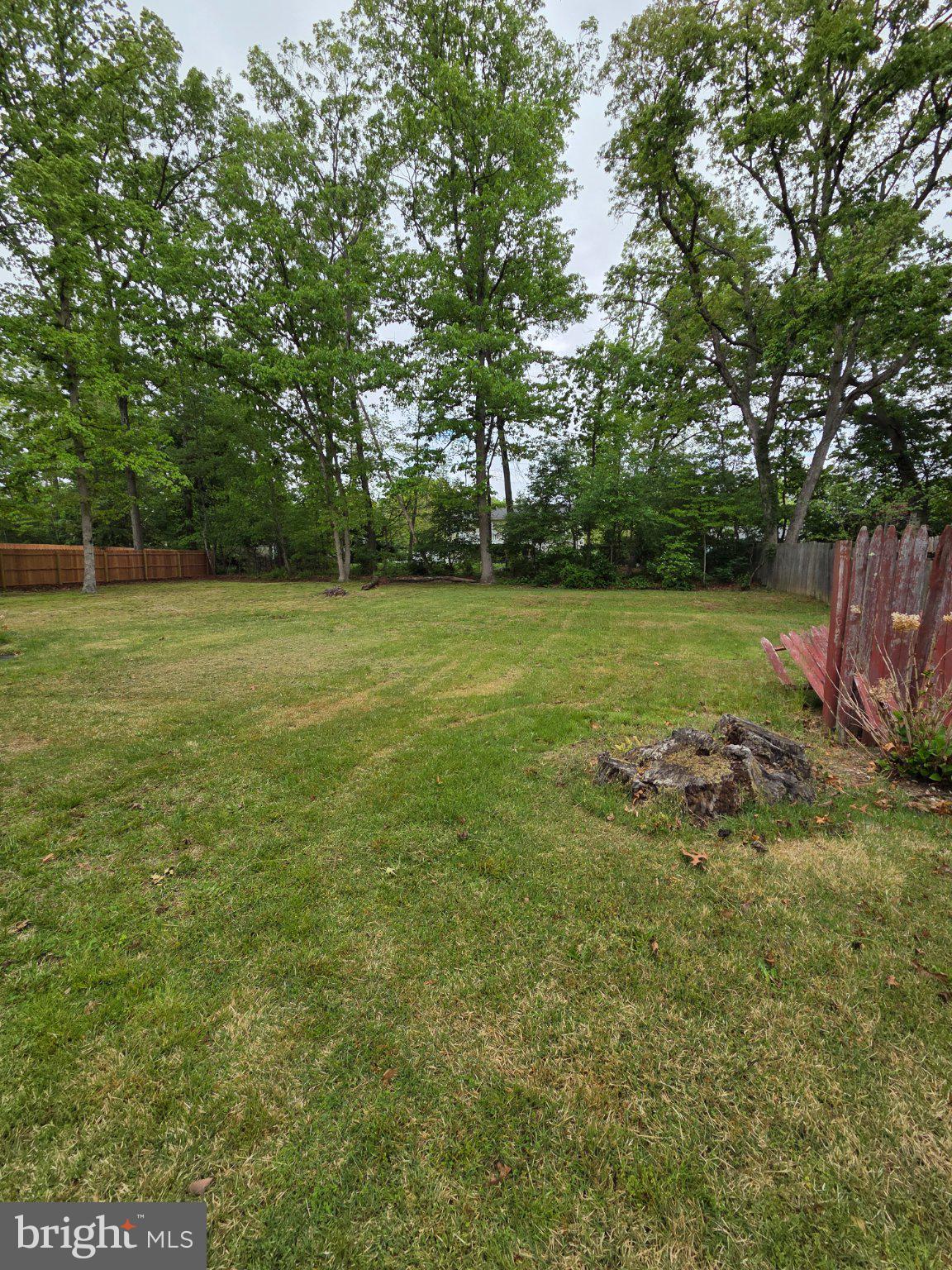 64 Rosedale Drive Bridgeton, NJ 08302 - Photo 16 of 16 a view of a field with a tree