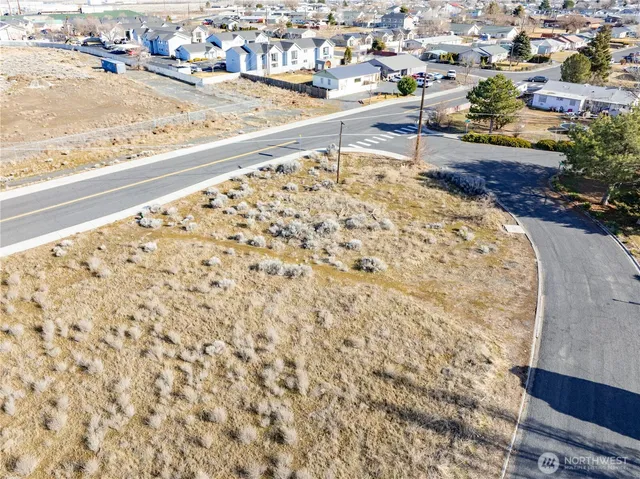 a view of a bench in the yard