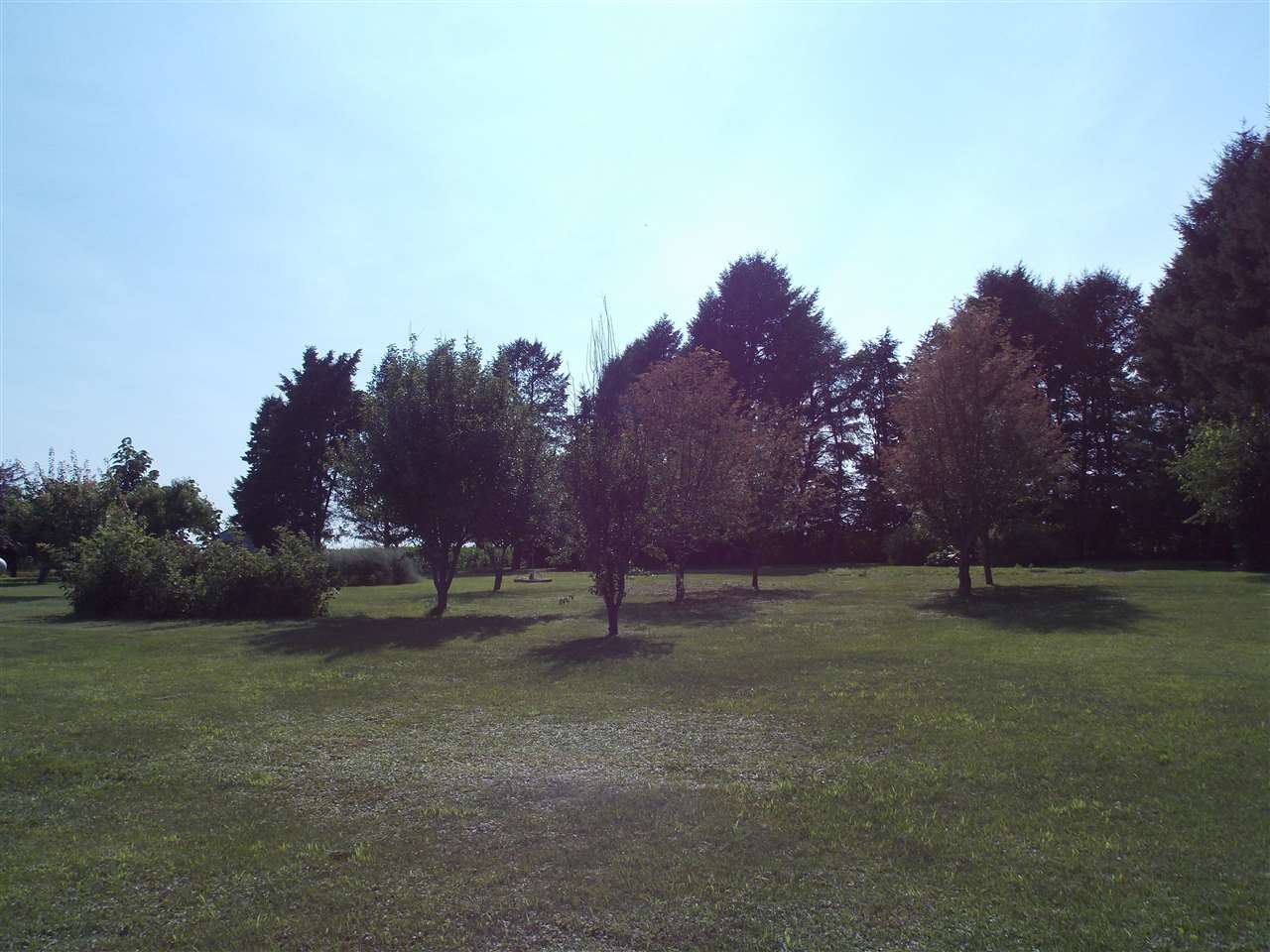 5793 Town Line Road Leaf River, IL 61047 - Photo 11 of 11 a view of outdoor space with mountain view