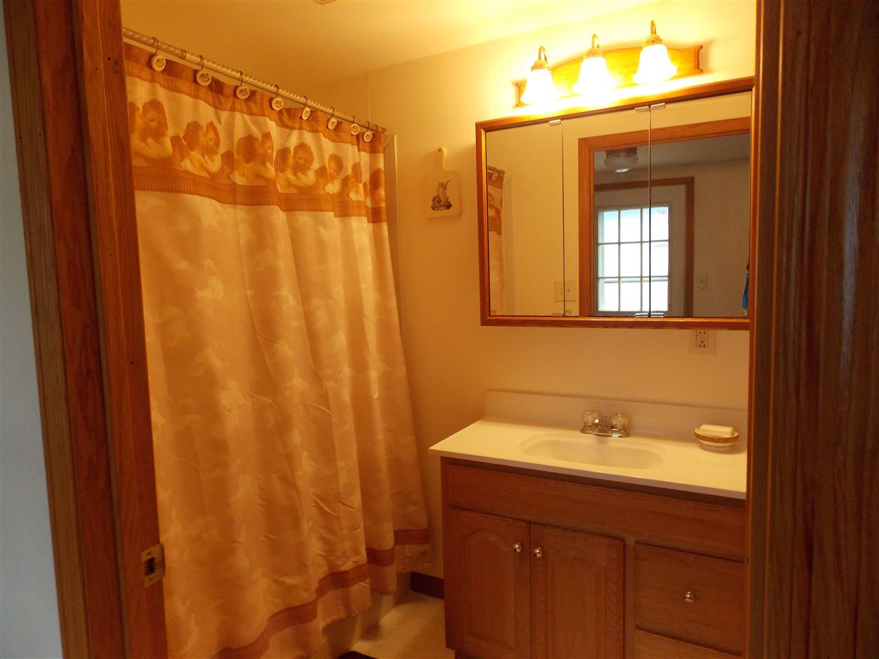 5793 Town Line Road Leaf River, IL 61047 - Photo 3 of 11 a bathroom with a sink and a mirror