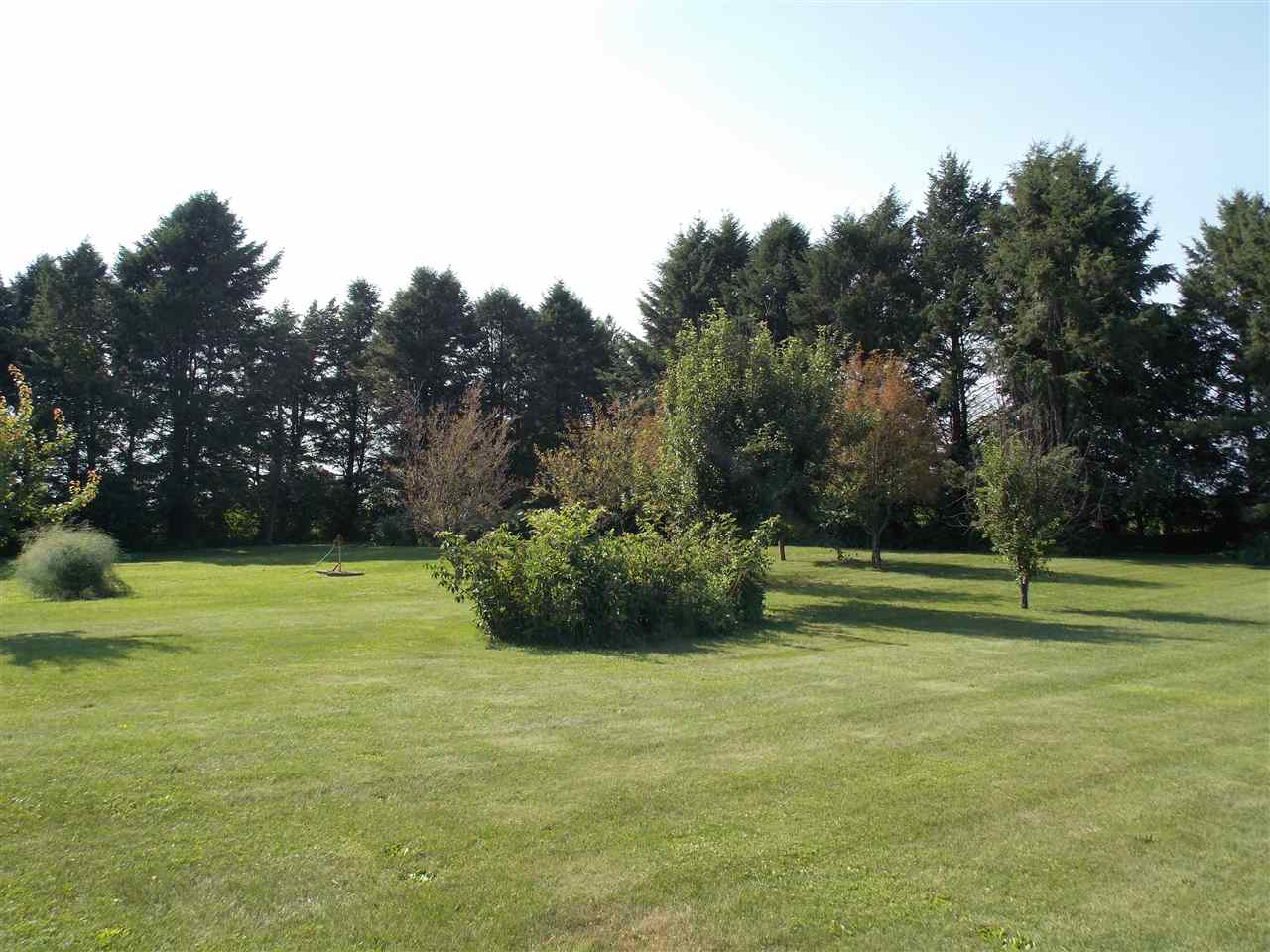 5793 Town Line Road Leaf River, IL 61047 - Photo 10 of 11 a view of field with trees in the background