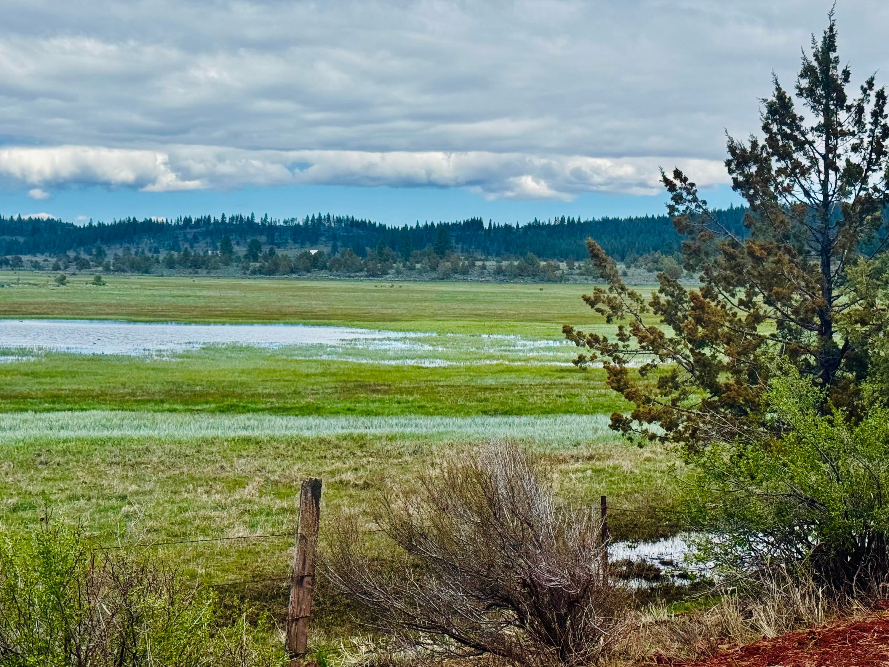 57301 Gerber Road Bonanza, OR 97623 - Photo 5 of 5 IMG_9197