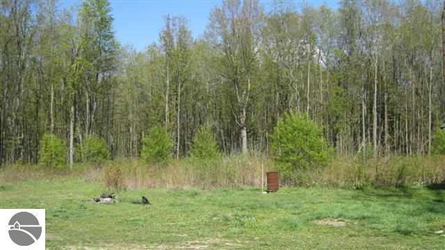 7620 Cunningham Road Northeast Mancelona, MI 49659 - Photo 14 of 25 1735806-13.JPG